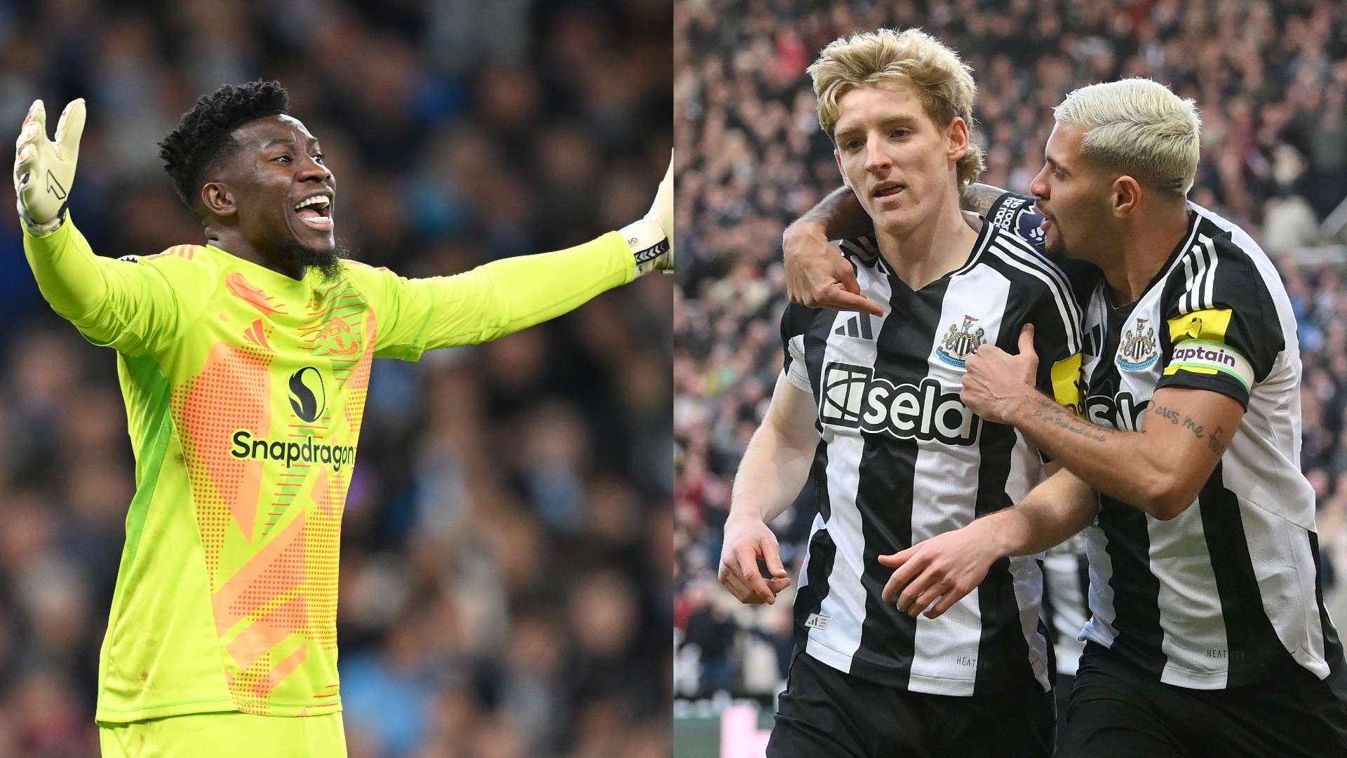 仅提升了训 仅提升了训